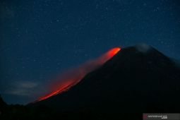 Gunung Merapi luncurkan guguran lava pijar sejauh 1,8 km