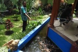 Pemkot Malang kembangkan urban farming di tingkat kecamatan