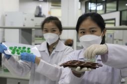 Guru Besar Ubaya teliti kultivasi spirulina dengan limbah tempe