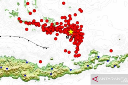 BMKG catat 267 kali gempa  susulan akibat gempa di Laut Flores