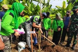 Pemkab Sidoarjo genjot pengembangan potensi wisata bahari Tlocor