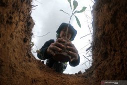 Upaya sederhana  menyelamatkan hutan dan lingkungan
