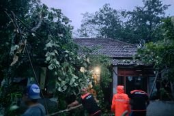 Angin kencang melanda Trenggalek, dua rumah rusak