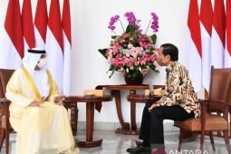 Presiden Jokowi terima kunjungan  Delegasi Persatuan Emirat Arab