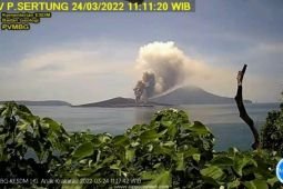 BMKG imbau pengelola usaha-pemda siaga setelah Anak  Krakatau Level 3