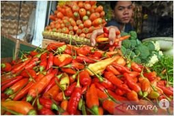 KPPU gencarkan pengawasan terkait kenaikan harga komoditas bahan pokok