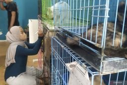 Jasa penitipan hewan di Kota Malang panen jelang Lebaran