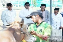 Badan Karantina Pertanian Madura larang masuknya sapi dari luar daerah