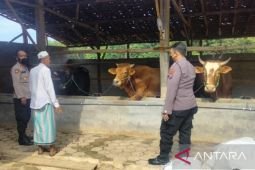Polres Pamekasan gerakkan 178 personel bantu deteksi PMK