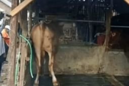 Polres Mojokerto Kota awasi mobilisasi hewan PMK