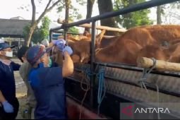 Sebanyak 39 kendaraan angkut sapi terindikasi PMK ditolak masuk Ngawi