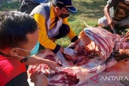 DLH Probolinggo imbau warga rayakan Idul Adha tanpa sampah plastik