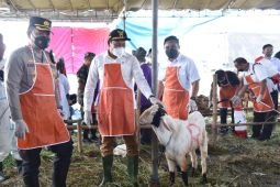 Pemkab Sidoarjo sediakan lapak resmi penjualan hewan kurban