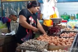 Harga telur di pasar tradisional Jember masih belum stabil
