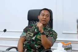 Panglima TNI: Pidana mengakibatkan korban jiwa jadi prioritas untuk dikawal