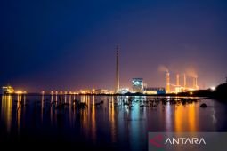 PJB ubah nama jadi PLN Nusantara Power