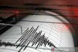 Hasil BBMKG Jayapura catat 285 kali gempa susulan