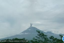 Gunung Semeru alami erupsi dengan tinggi letusan 600 meter