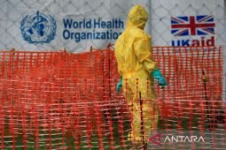 Pakar meminta RI waspadai virus Marburg yang angka kematiannya capai 80%