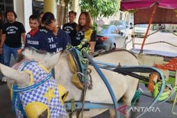 Curi delman, bapak dan anak di Semarang diringkus polisi