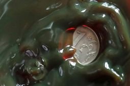 Kerja sama minyak India dan Rusia kikis dominasi dolar puluhan tahun