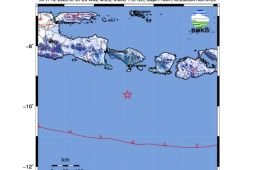 Gempa berkekuatan Magnitudo 5,2 guncang Bali