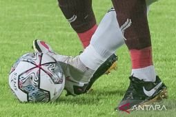 Liga Inggris: Brighton resmi datangkan Joao Pedro dari Watford