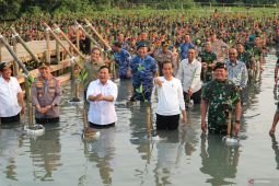 Jokowi bareng Prabowo "nyemplung" tanam mangrove
