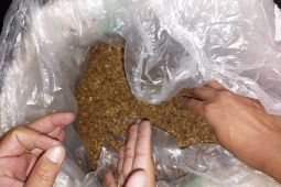 Bea Cukai Malang gagalkan pengiriman tembakau iris senilai Rp1,17 M