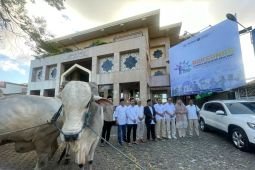 Prabowo salurkan puluhan hewan kurban di Jawa Timur