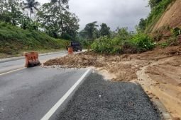 Hujan deras picu longsor sejumlah titik di Trenggalek