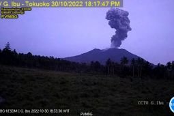Gunung Ibu di Halmahera erupsi setinggi 600 meter ke arah barat