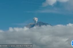 Gunung Semeru di Lumajang kembali erupsi
