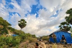 PTS komitmen lestarikan keberlangsungan hidup satwa komodo