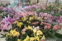 Festival Anggrek di Jember dongkrak potensi wisata hingga ekonomi