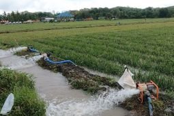 Petani sebut bantuan pompa air Kementan cegah dampak buruk El Nino