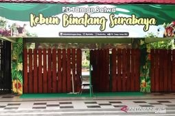 Akun media sosial PDTS KBS direntas unggah foto pasangan "AMIN"