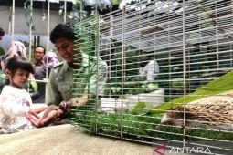 Masuki usia 25 tahun, The Grand TSI Prigen tambah satwa dan wahana anak