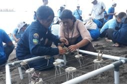 Menghidupkan kembali karang untuk rumah ikan