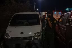 Petugas Taman Nasional Baluran amankan kayu jati hasil pembalakan liar