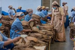 PTPN X catat kinerja positif selama empat tahun jalani transformasi