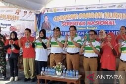 Pemkab Sampang pastikan stok  pangan aman hingga musim tanam