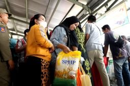 DKPP pastikan stok dan harga beras di Surabaya terkendali