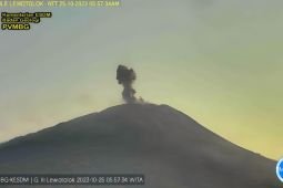 Gunung Ili Lewotolok meletus keluarkan abu setinggi 500 meter
