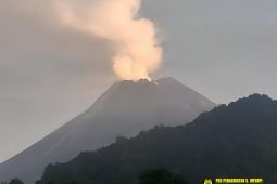 Merapi mengalami 71 gempa guguran