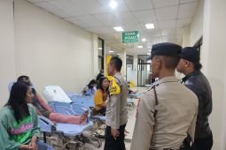 Sembilan orang luka-luka akibat pohon tumbang di Blitar