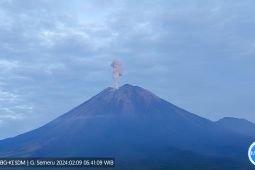 Semeru alami ratusan kali aktivitas kegempaan dalam sehari
