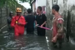BPBD: 119 rumah warga Jember terdampak banjir