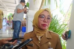 Dinkes Ponorogo berlakukan status waspada wabah DBD