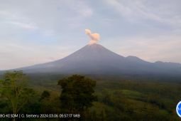 Semeru luncurkan abu vulkanik setinggi 800 meter